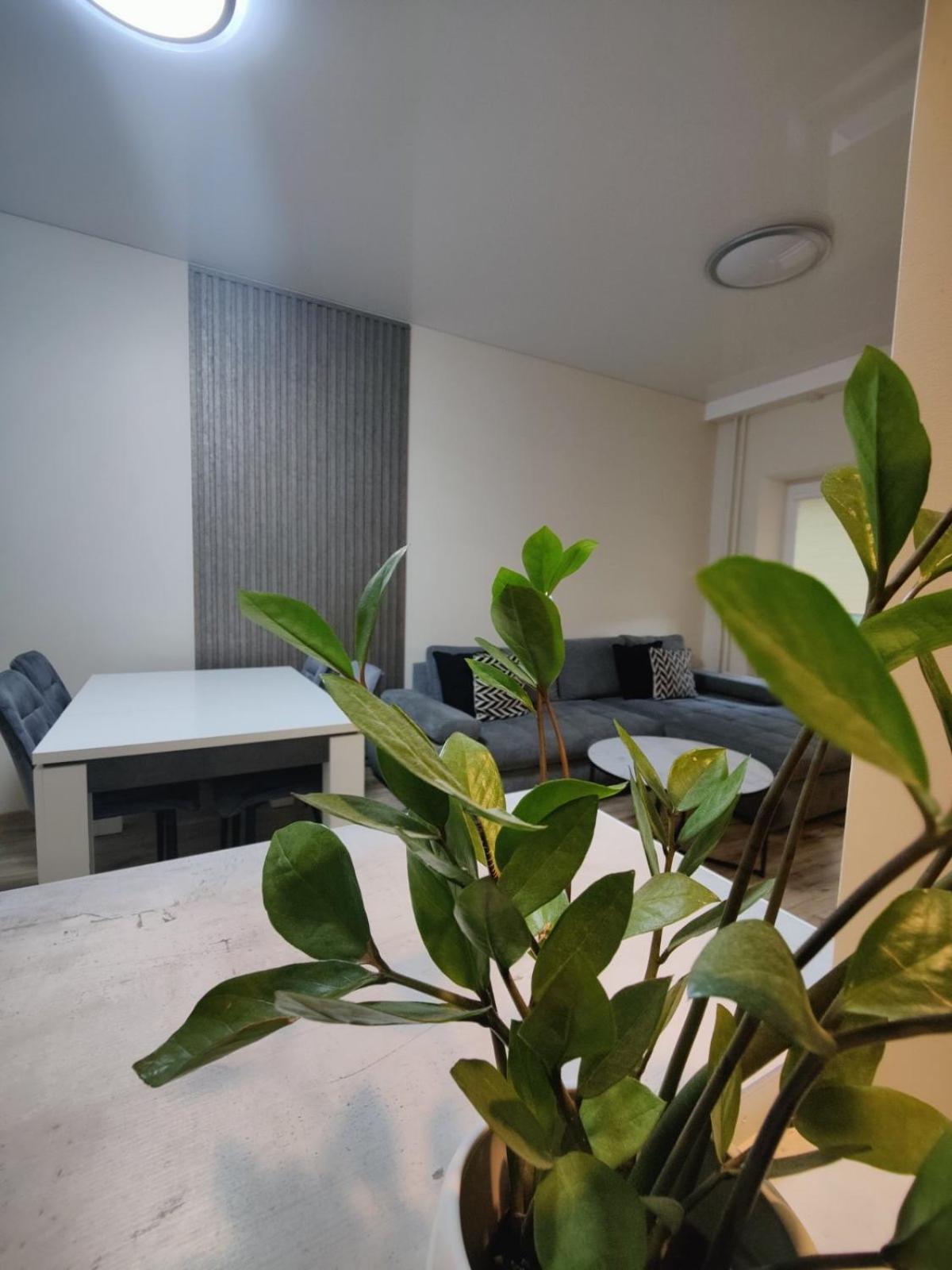 V15 Apartment ดรูซกินินไก ภายนอก รูปภาพ